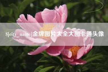 郑州金牌图片大全大图卡通头像